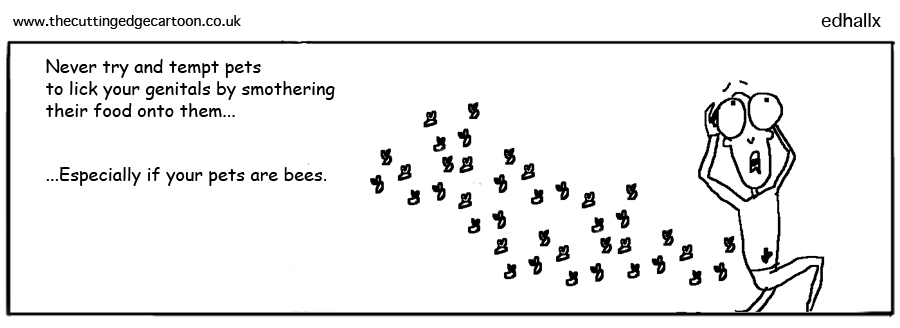 bees